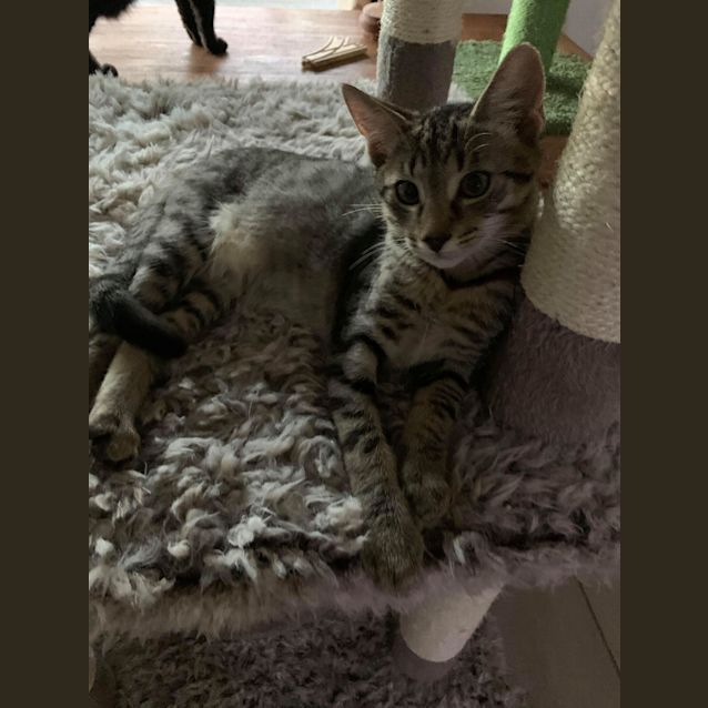 Photo of Bruce