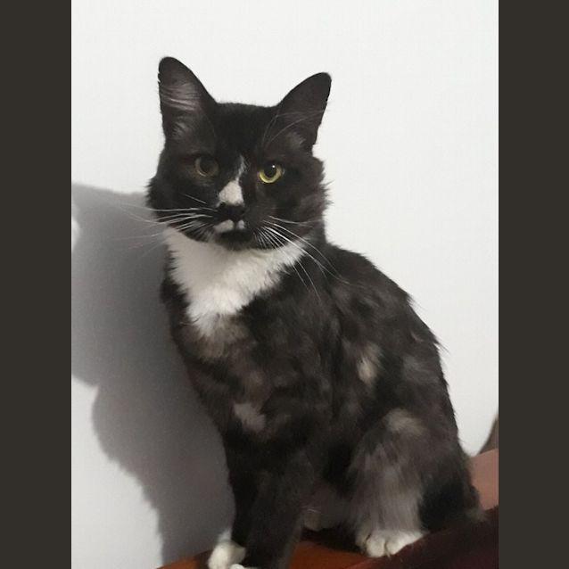 Photo of Keefe So Handsome!