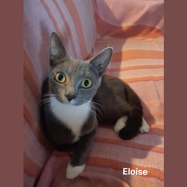 Photo of Eloise
