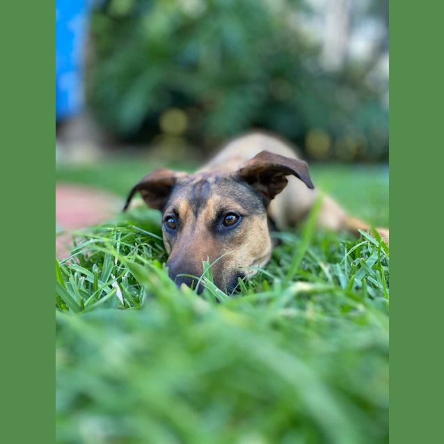 Photo of Missy