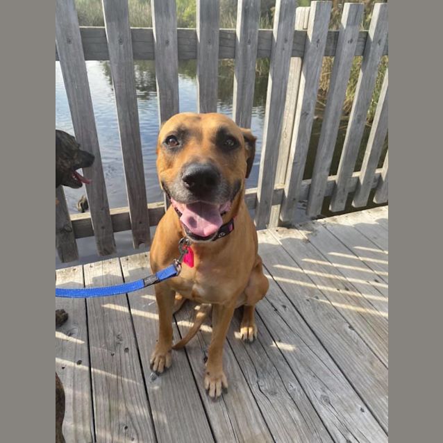 Photo of Susan Dl2630