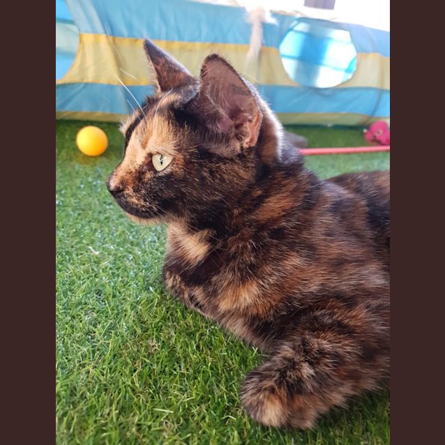Photo of Buffy
