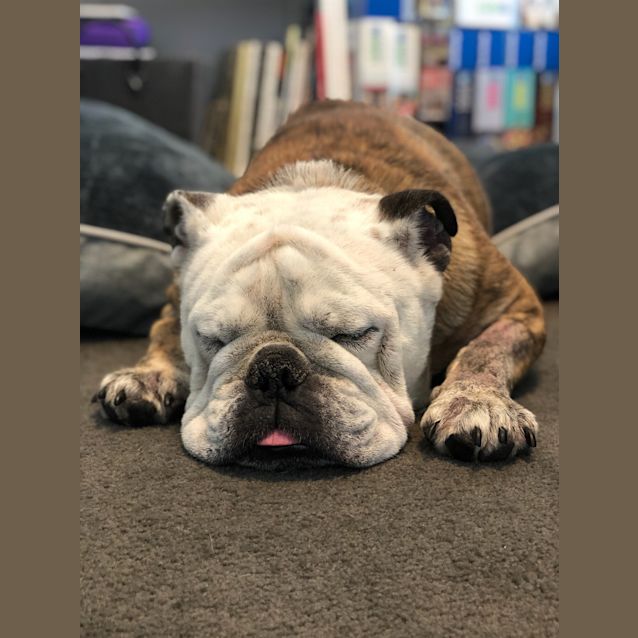 Photo of Diesel