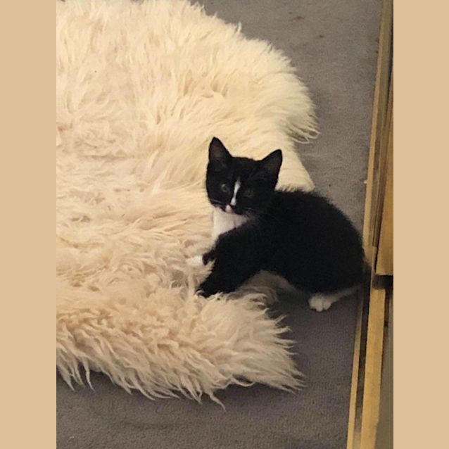 Photo of Naomi Catbell