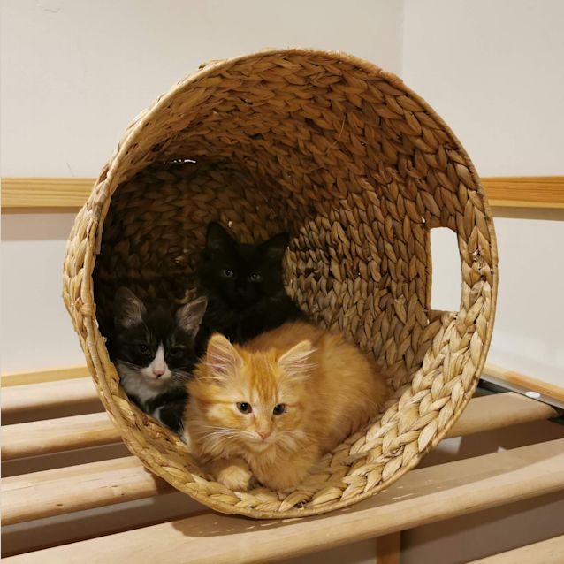 Photo of Jefferson And Peach ❤❤