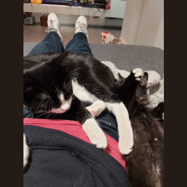Photo of Bonnie & Captain Crank