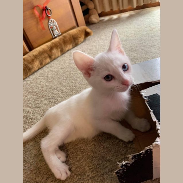 Photo of Judy
