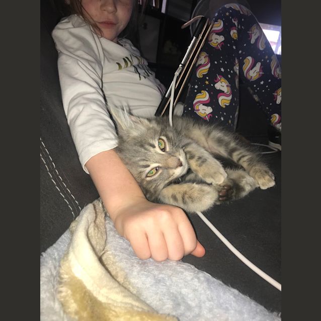 Photo of Pooky