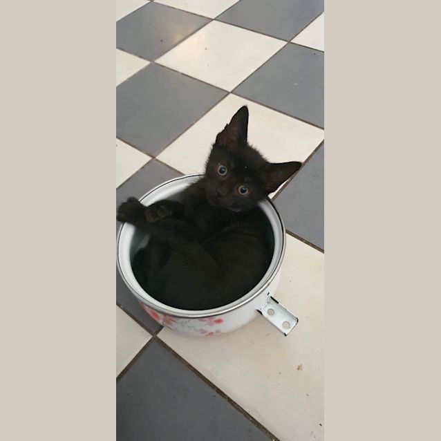 Photo of Frances 