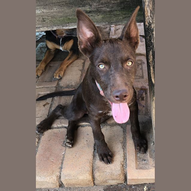 Photo of Hazel