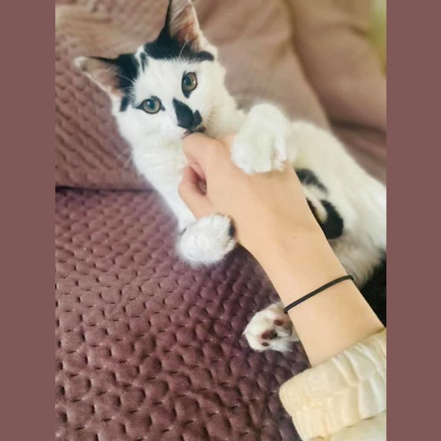 Photo of Momo