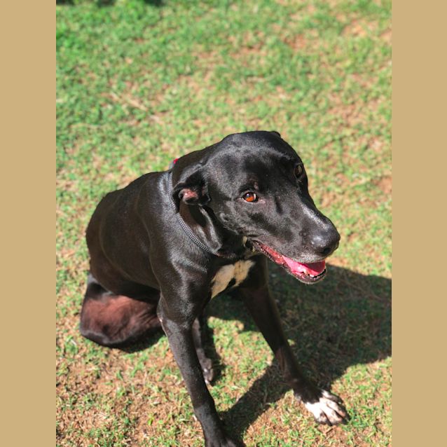 Photo of Macey Dl2639