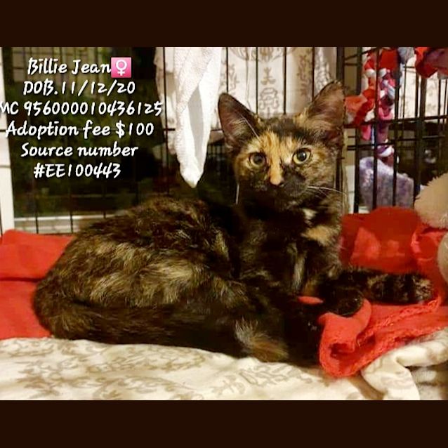 Photo of Billie Jean