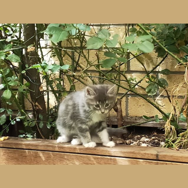 Photo of ❤️💜 Misty💜❤️