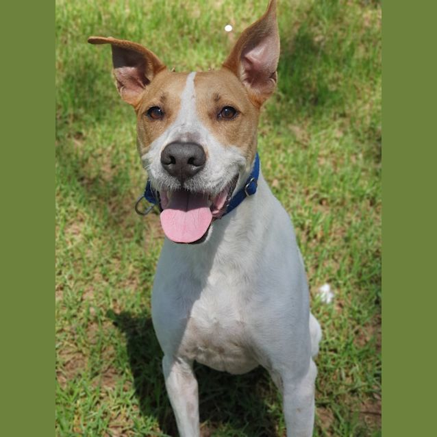 Photo of Maverick