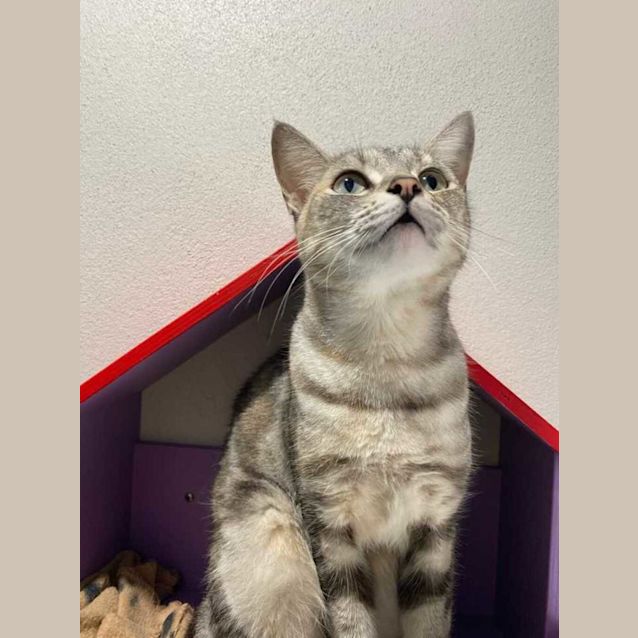 Photo of Minx