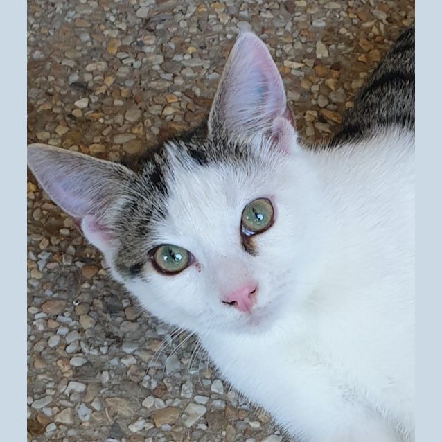 Photo of Raphy (Now Seth)