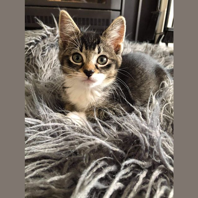Photo of Fika