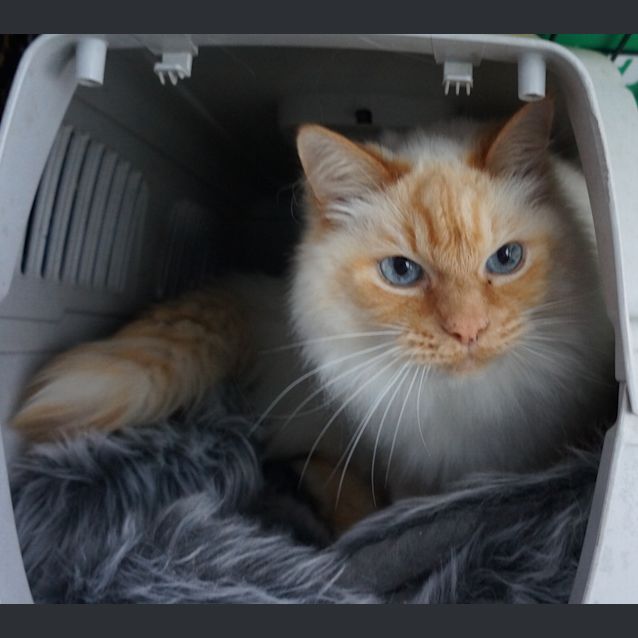 Photo of Spooky