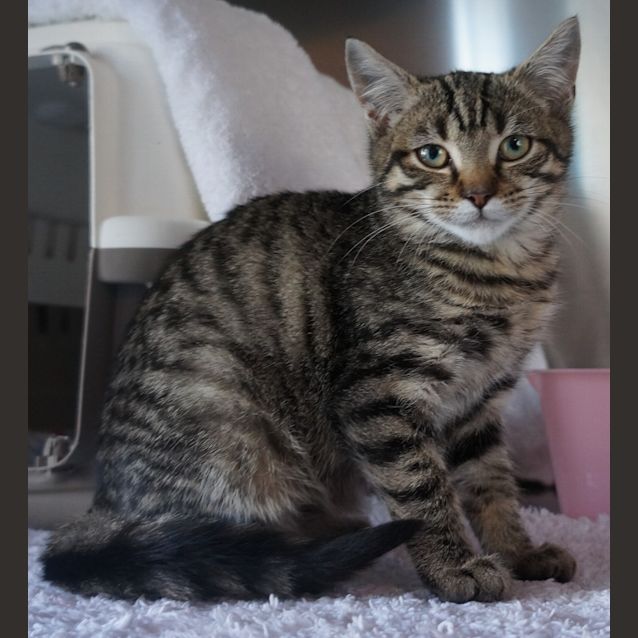 Photo of Lucy
