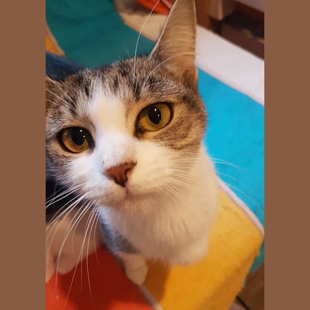Photo of Willow