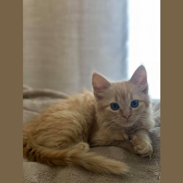 Photo of Olwyn 