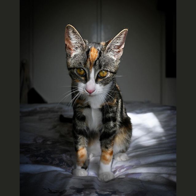 Photo of Lilith