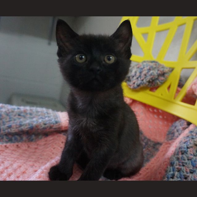 Photo of Jerry