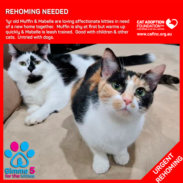 Photo of Muffin And Mabelle