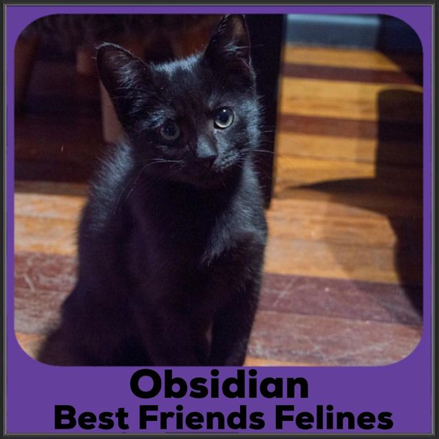 Photo of Obsidian 