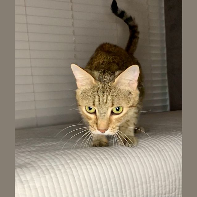 Photo of Tiny Peanut 