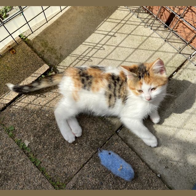 Photo of Little Shelley