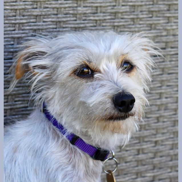 Photo of Missy