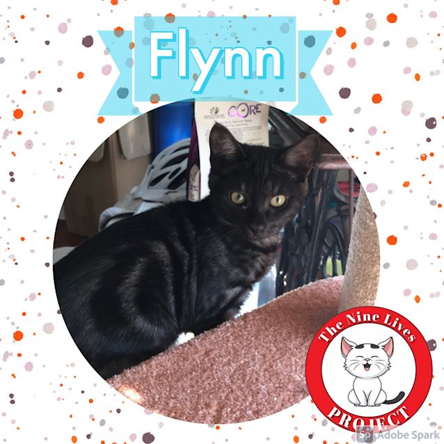 Photo of Flynn