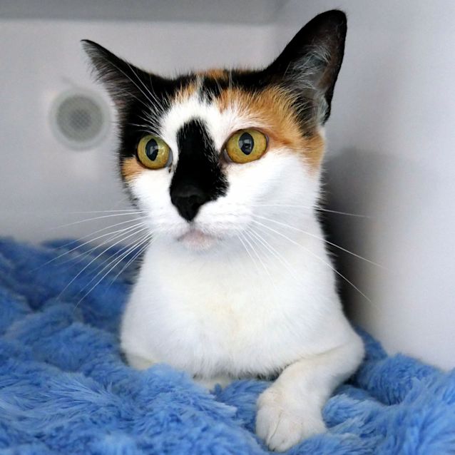 Photo of Quinn Sua006329