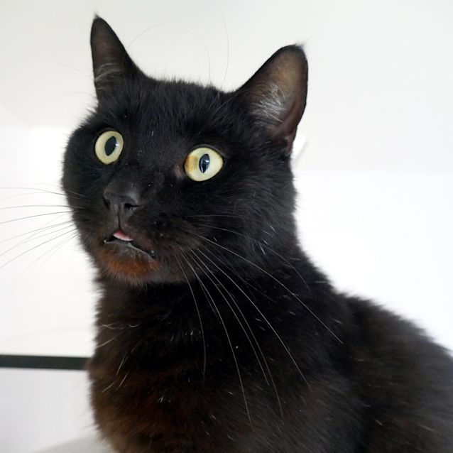 Photo of Craig Sta006279