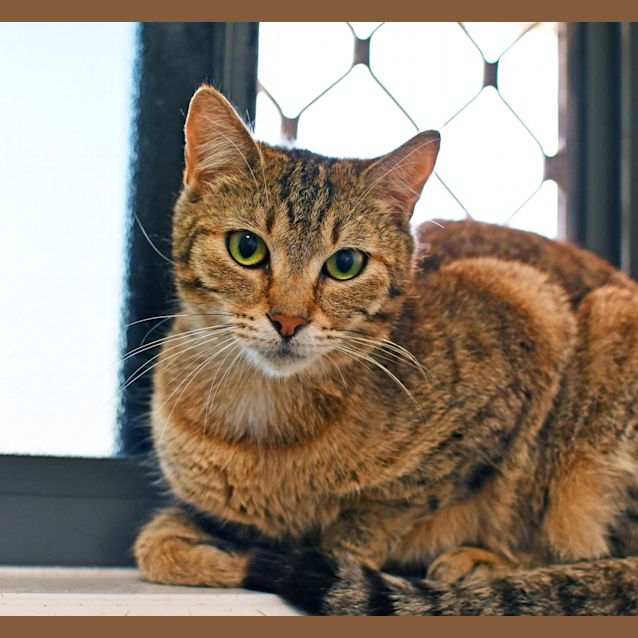 Photo of Kiki