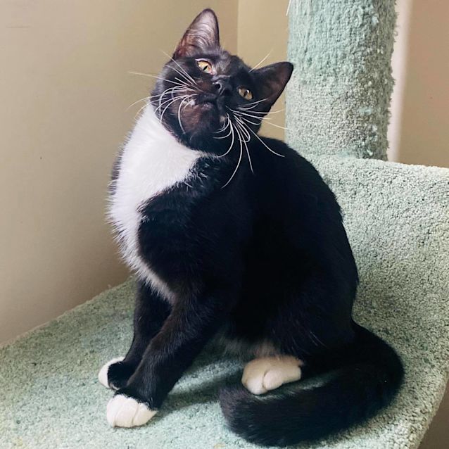 Photo of Vince   Located In Preston