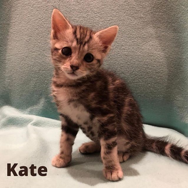 Photo of Kate 