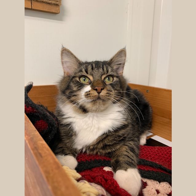 Photo of Mogwai