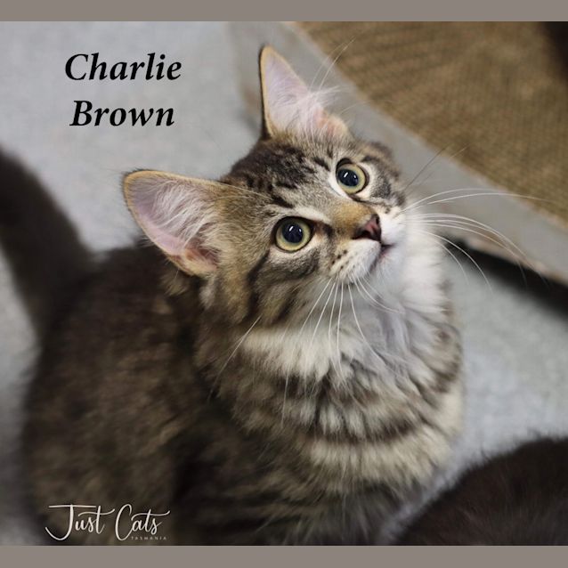 Photo of Charlie Brown
