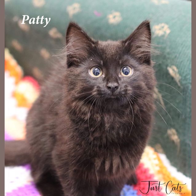 Photo of Patty