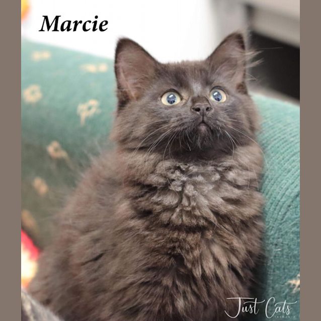 Photo of Marcie