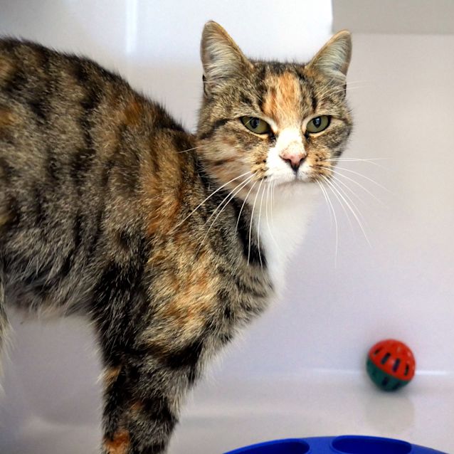 Photo of Priscilla Sua006389