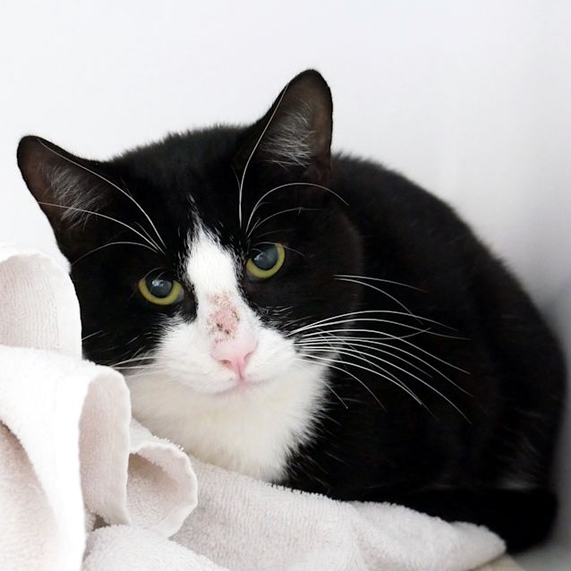 Photo of Xavier Sua006334