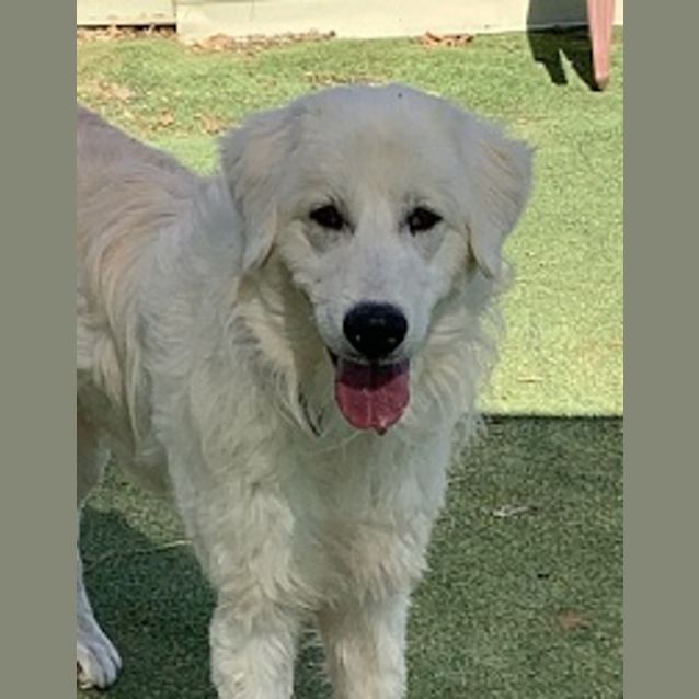 Photo of Ghost 