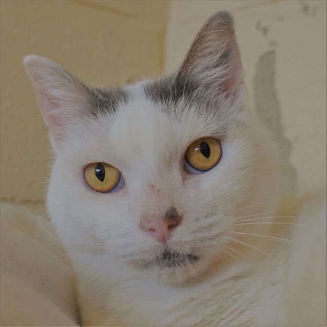 Photo of Charlie