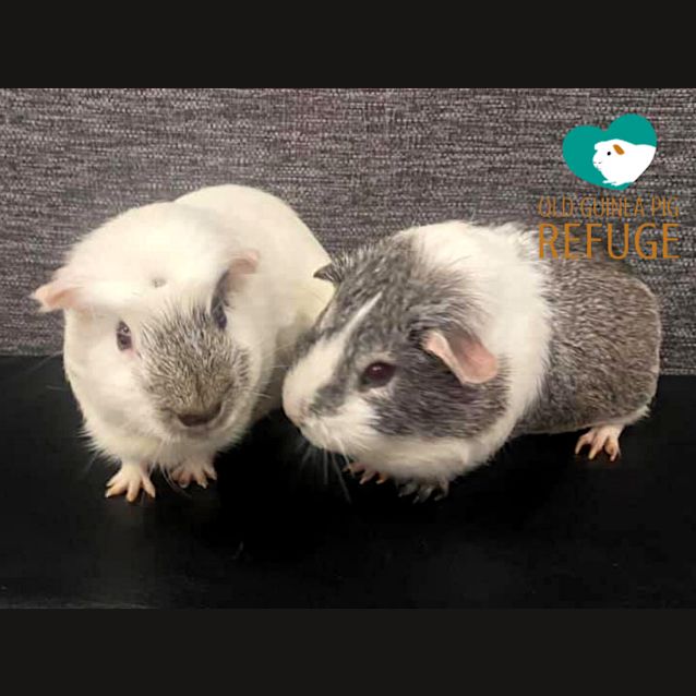 Photo of Winter And Little Man