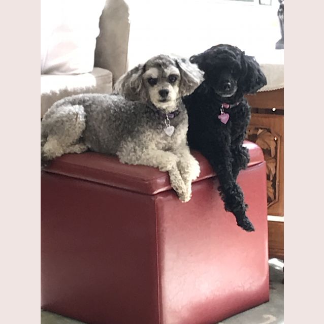 Photo of Chiquita