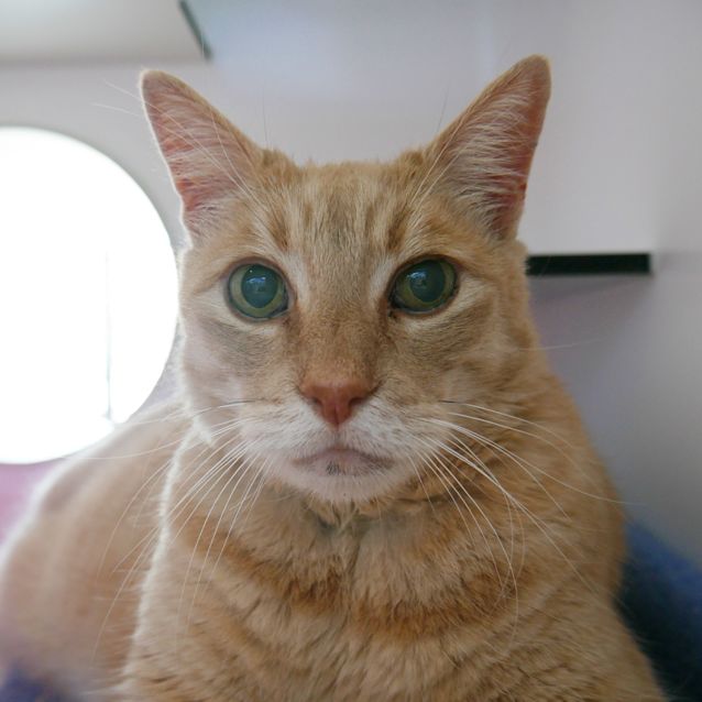 Photo of Lyric Sua006363